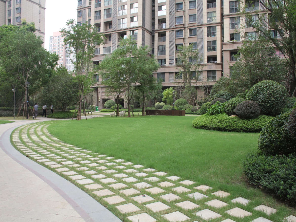 a_385092571.jpg a_385092571.jpg