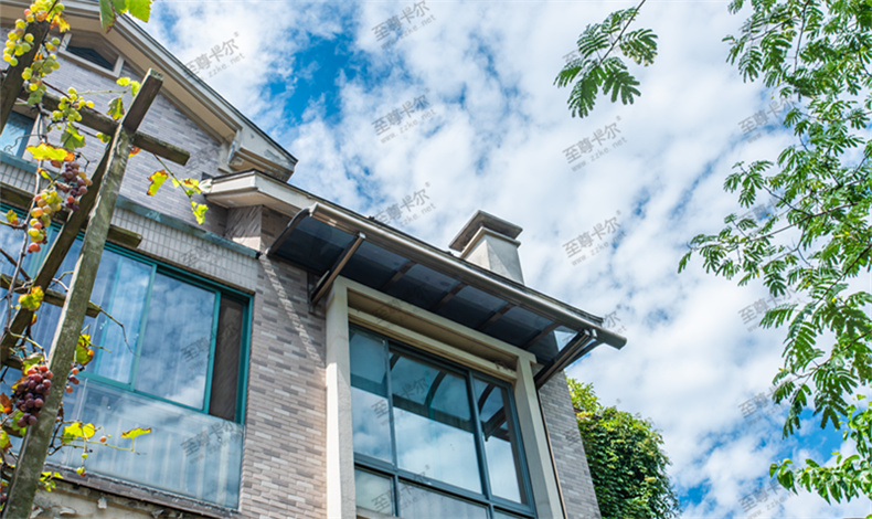 A550_副本.jpg A550_副本.jpg